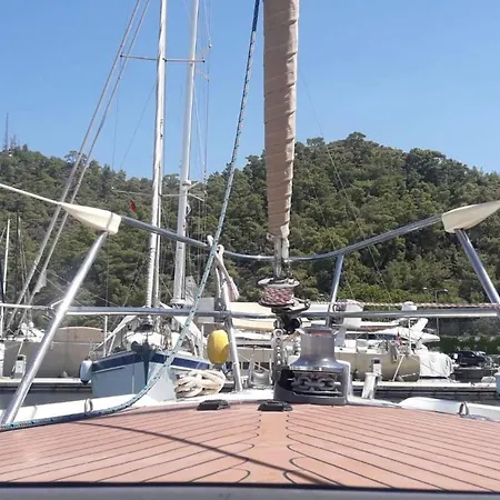 Sailboat *